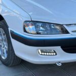 پارس دودی برفی